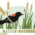 Master Naturalist